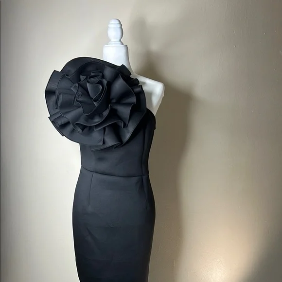Nikki Lund Elegant Black One-Shoulder Dress - Picture 3 of 16
